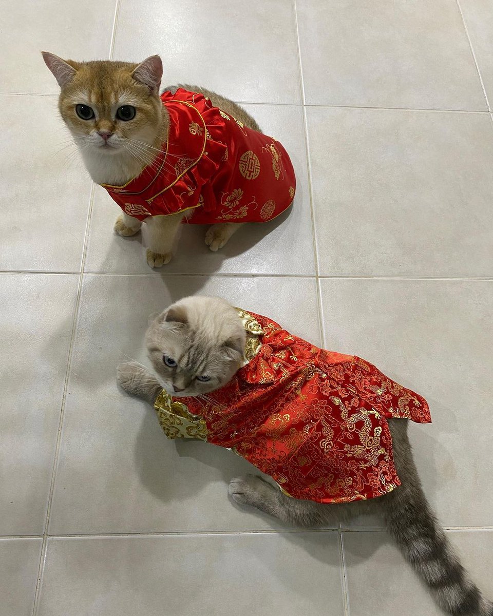 gianclairey's tweet photo. ©️hazardisacat - IG
@gulfkanawut
#GulfKanawut https://t.co/L3rblguzlE