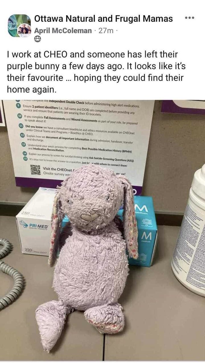 PLS RT Ottawa 🐰

Could this be Clarita, the lost bunny at CHEO? 

This was posted to a private FB group today, only ppl in group will see it. 

I’ve alerted powers that be &amp; sharing here in hopes someone knows where Clarita belongs? 

I’d be happy to deliver Clarita home!