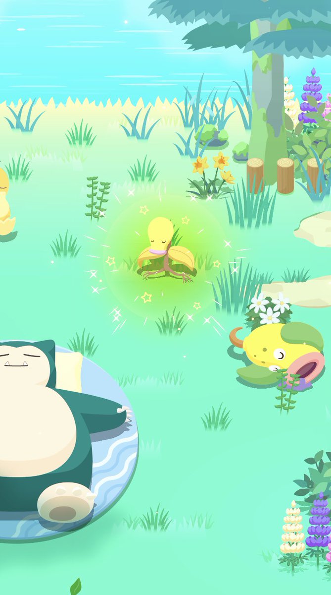 BrandiMorrow44's tweet image. Well good morning to you✨
#ShinyPokemon #PokemonSleep #bellsprout