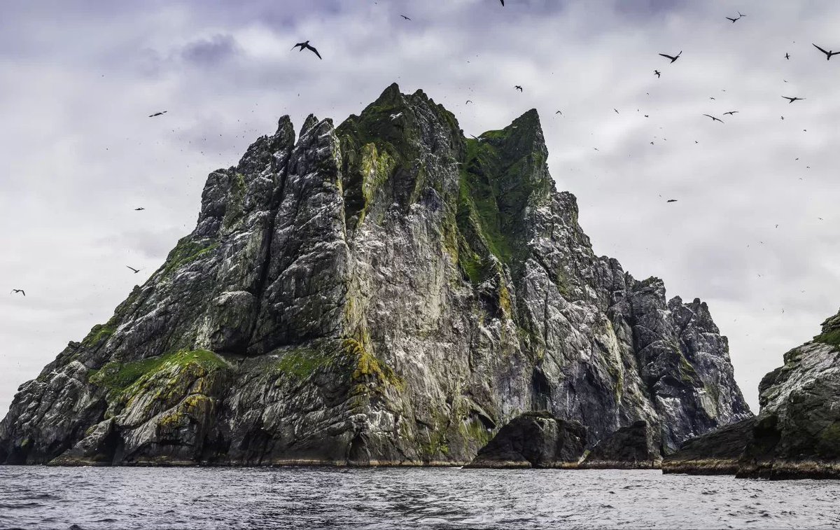 NEW JOBs in #ornithology to study and conserve #seabirds on some of the stunning #islands in #Scotland: buff.ly/3LU7ovE