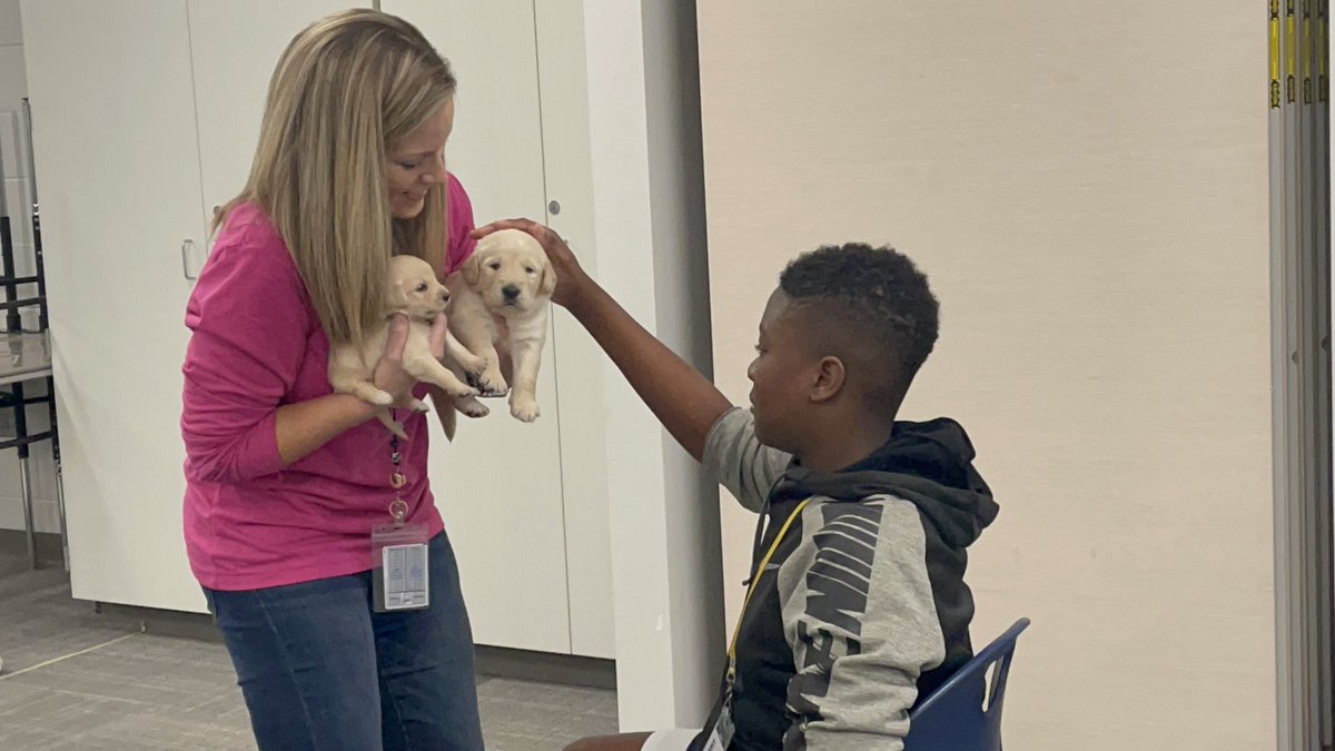 oakhillslions's tweet image. Today is the much anticipated 💙DOG🐶DAY💙 for our 7th Grade Science students! Students are learning all about how dogs communicate &amp;amp; their unique adaptations by interacting with a few of our furry friends! @mruffin15 @giffwhitehead #LionsLearning #DogDay #science