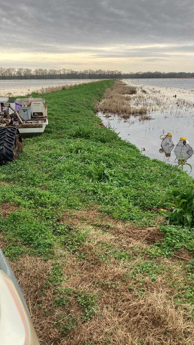 Rodrigo95964981's tweet image. Feliz cumpleaños , los escucho desde Luisiana  atrapando langostinos #PoderosoCumpleCha