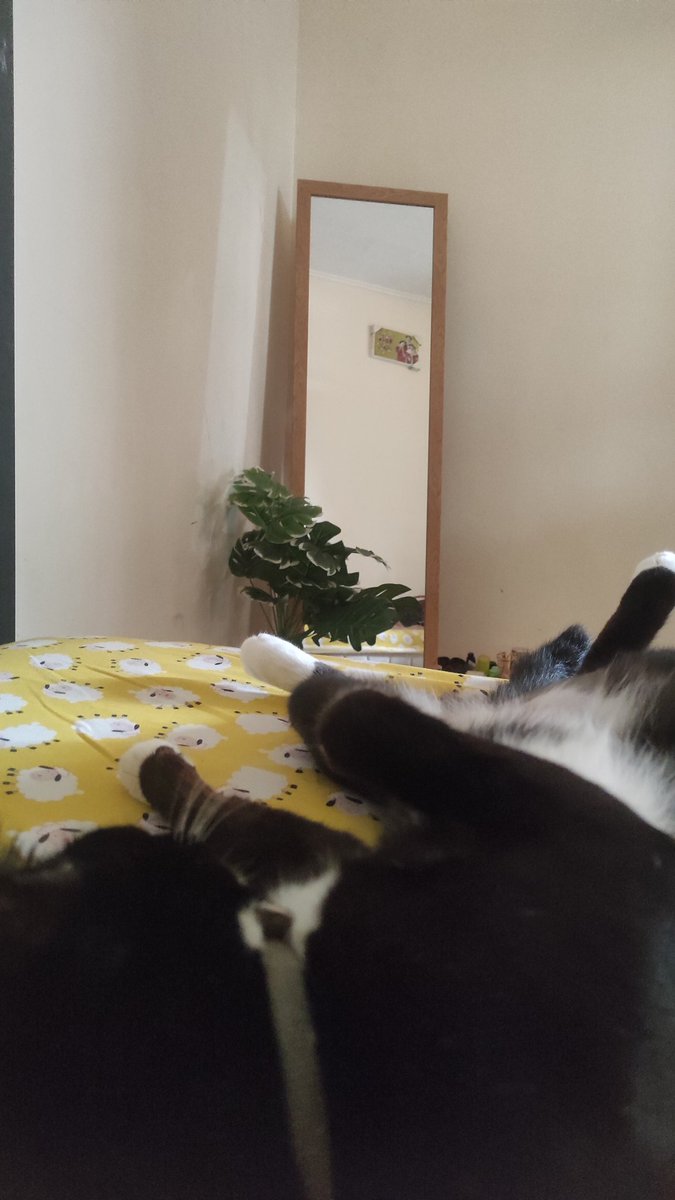 My sleeping view 🥺