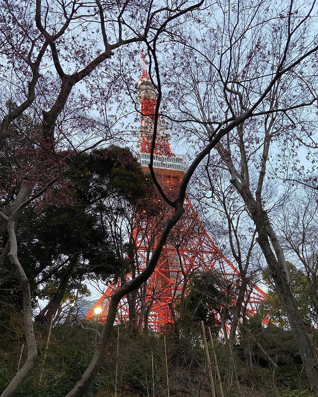 leiesohee's tweet photo. Just had to highlight that last sentence for some reason, beyond my control.. And you see that tower over there? That's Tokyo Tower, so I took these pictures in Tokyo. https://t.co/YjYGqZJeBJ