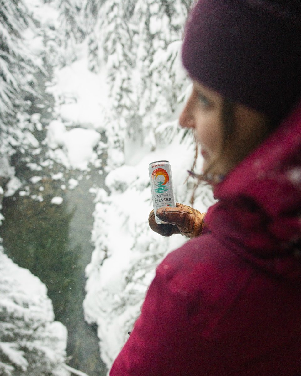 Day Chaser tweet media