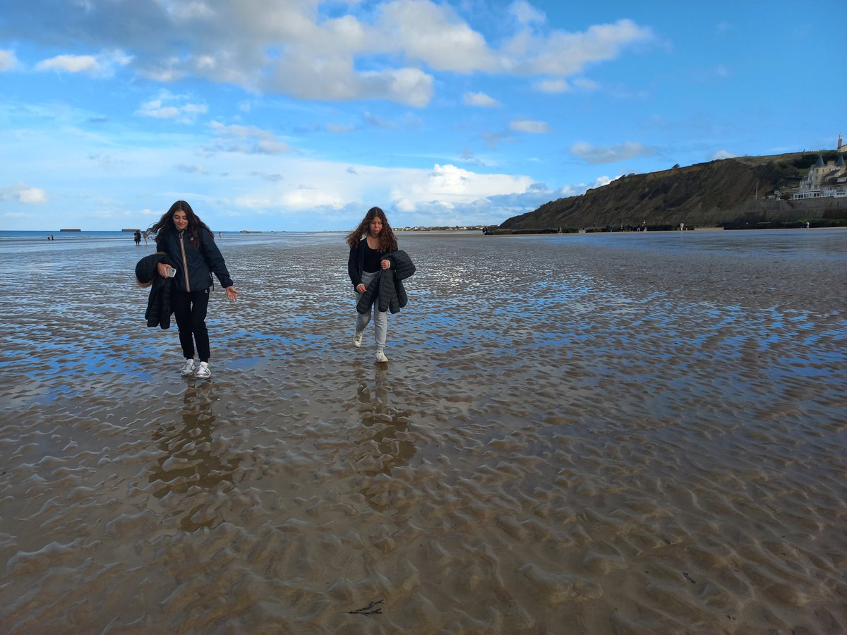 Collège Antonin Perbosc tweet media