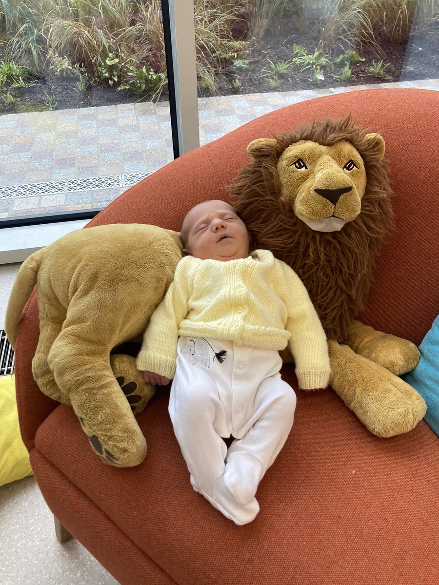 Could she be the youngest visitor to the new central library? 8 days new…never too young to start a love of reading @MyNottingham @NottmLibraries