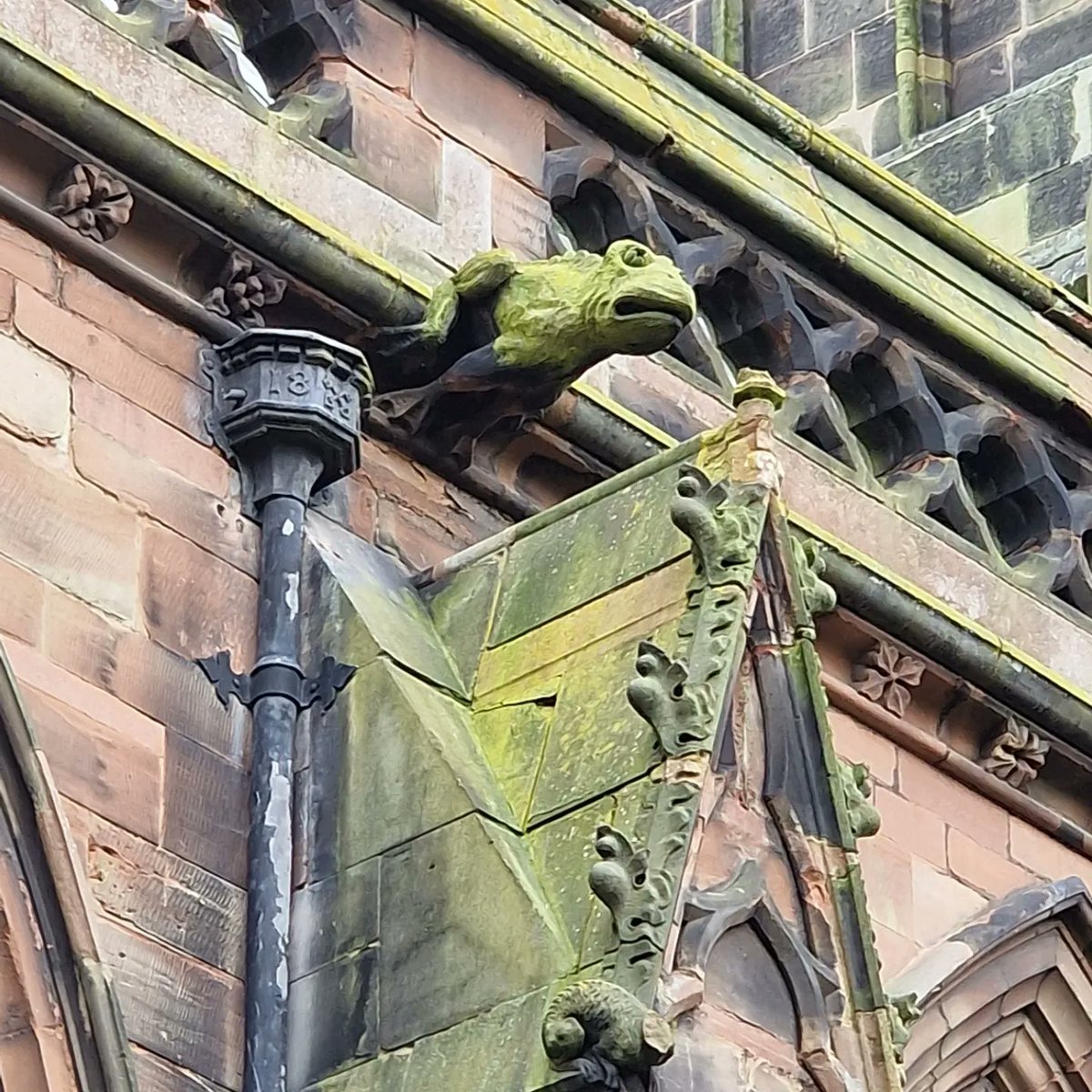 A lovely frog for Friday!

#frogsonfriday #wolverhampton #grotesque #gargoyle #churchart #churchcarving #churchyardtreasures #churchcrawling #theblackcountry #gothicchurch #victorian #stpeter #churcharchitecture #hopper #stonework #carvedstone #churchcarving