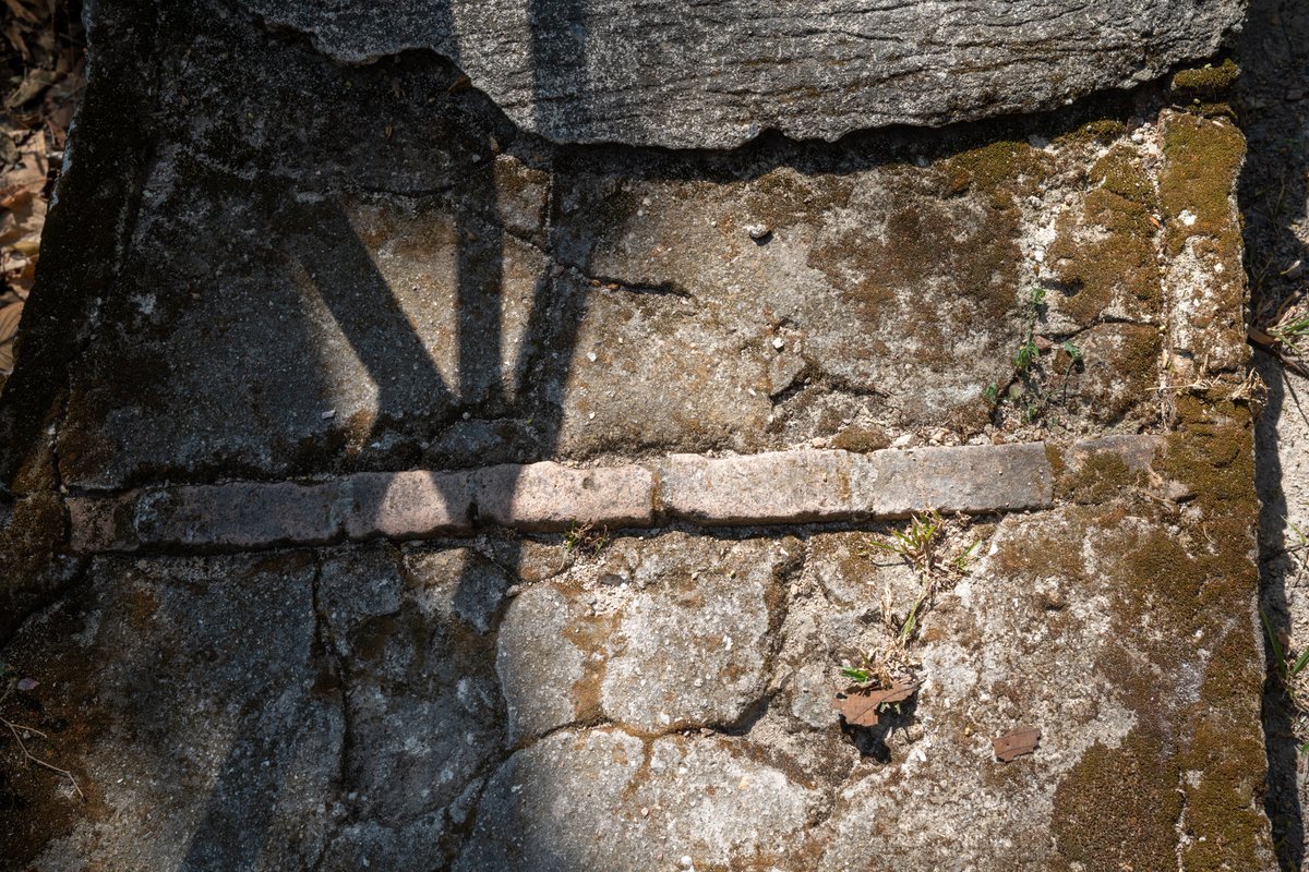 YeHangHarry's tweet image. Concrete floor covered with moss. Photo reference. Taken at Chiang Mai Zoo
#TextureReference #EnvironmentArt