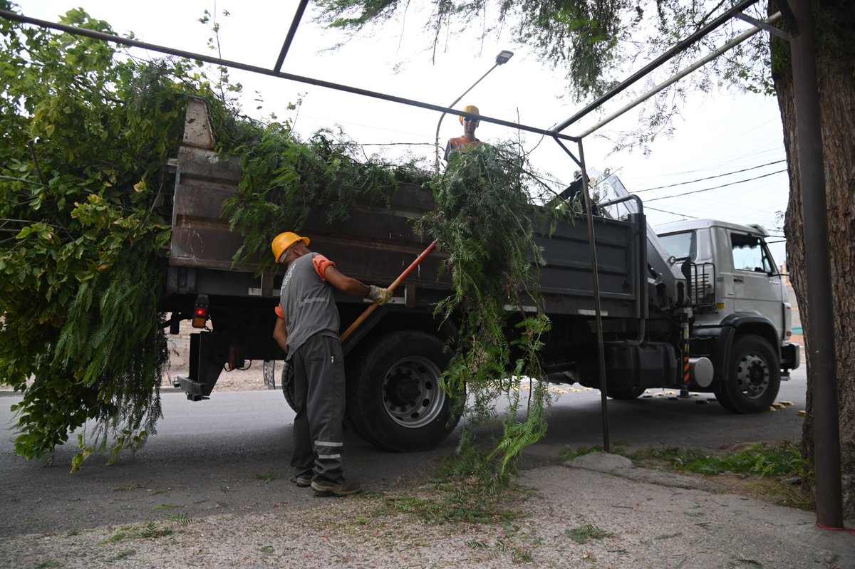 MuniGodoyCruz's tweet photo. 🌳 Godoy Cruz intensifica trabajos de desrame con el objetivo de despejar la visión de más de 300 cámaras para mejorar la seguridad en todas las zonas de departamento. https://t.co/uhBN3Fzi5h