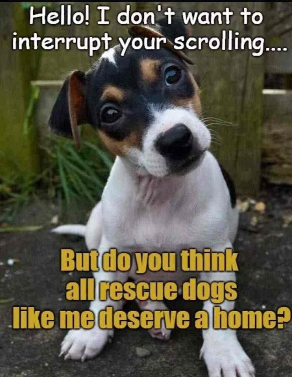 Dalbodog's tweet image. 