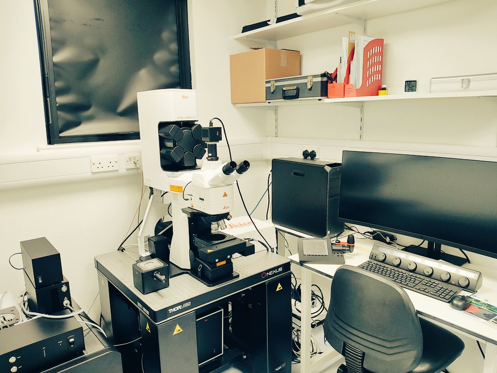 Stephen Graham's Lab tweet media