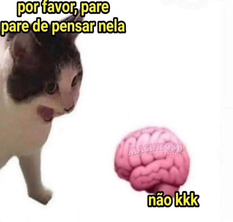Shitpost só que de verdade (@shitpostverdade) on Twitter photo 