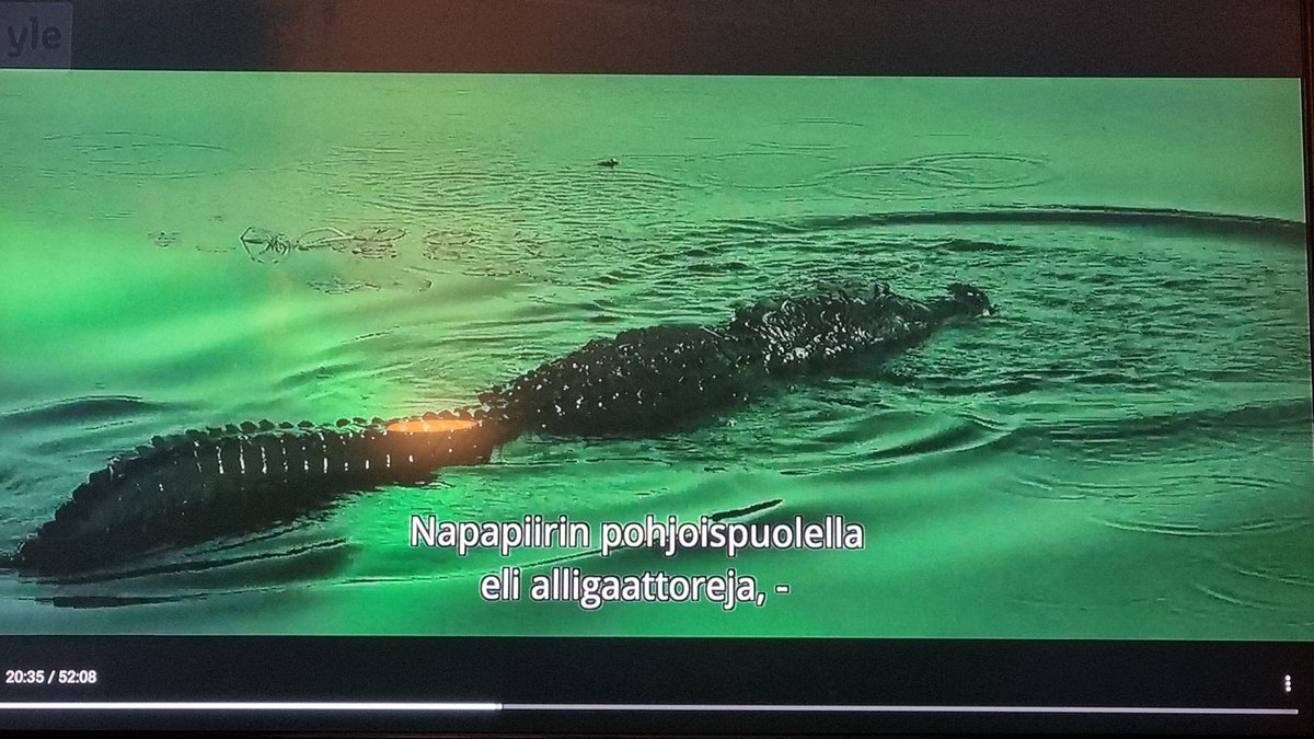 TommiHakala3's tweet photo. #napapiiri #rokotiilit Hei, onko vielÀ tullut vastaan erÀillessÀ ja palmurakovalkeilla @TommiHarjuAutti @keski_e ? https://t.co/fqqsFa4URR