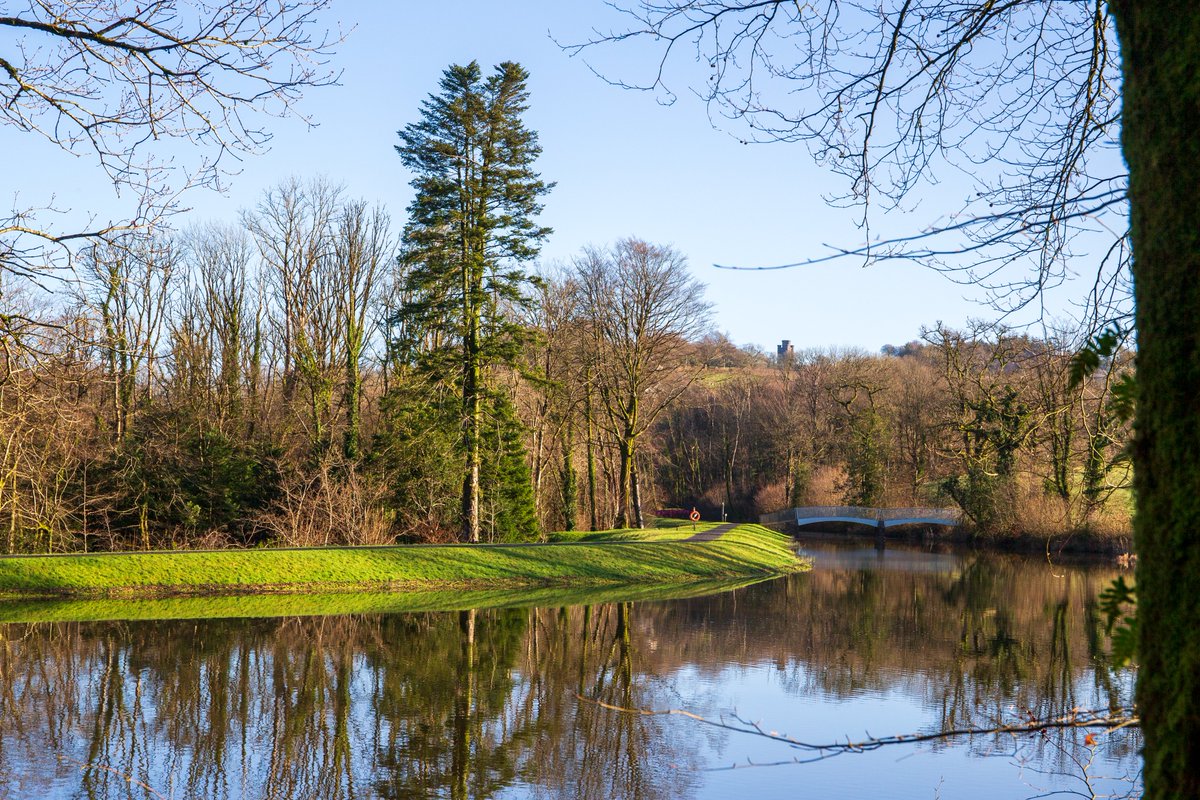 Visitor Notice From the 12th of February, some paths in the landscape will be closed due to essential work on the cascade. Work will hopefully be completed by mid-April. See our website for further information · botanicgarden.wales/visit/