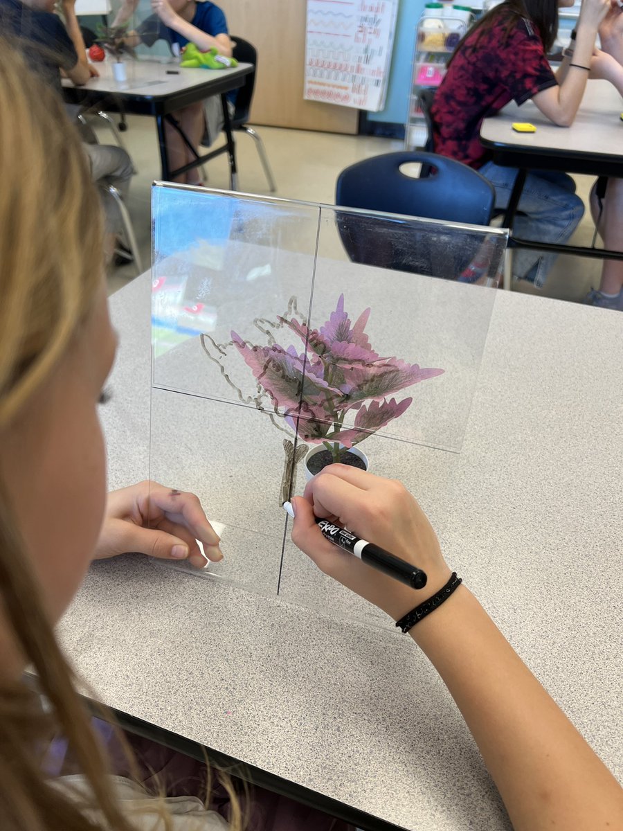 MrsSims7's tweet image. 5th grade artists practicing their observational drawing skills! @RiverRidgeElem