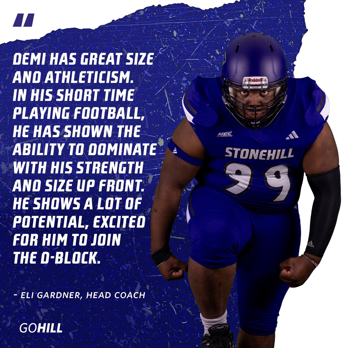 Stonehill Football #DIG tweet media