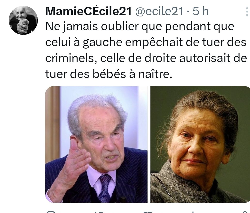 Le tweet le plus honteux du jour, #Badinter #ivg #simoneVeil