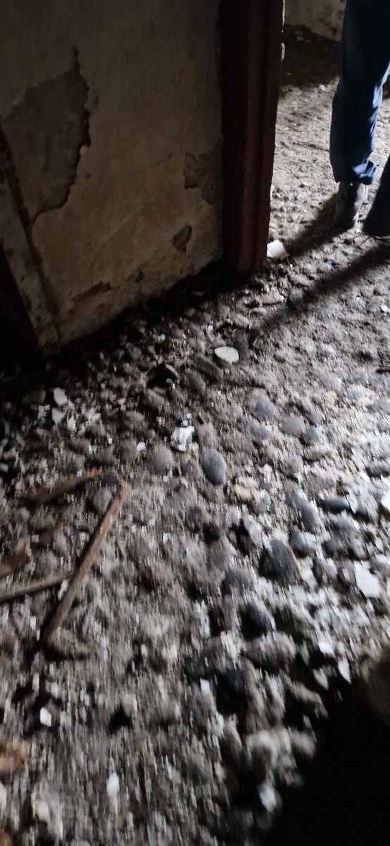 A bit of work in this one. #Retrofit #periodhouse <a href="/seai/">Sandra Erosa</a>