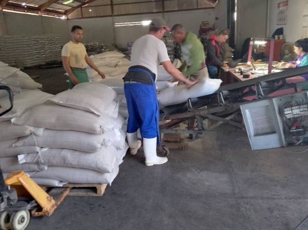 Desde <a href="/EmpaMayabeque/">EMPA MAYABEQUE</a> se trabaja en la distribución de la canasta familiar.#empamayabeque #somosmayoristas