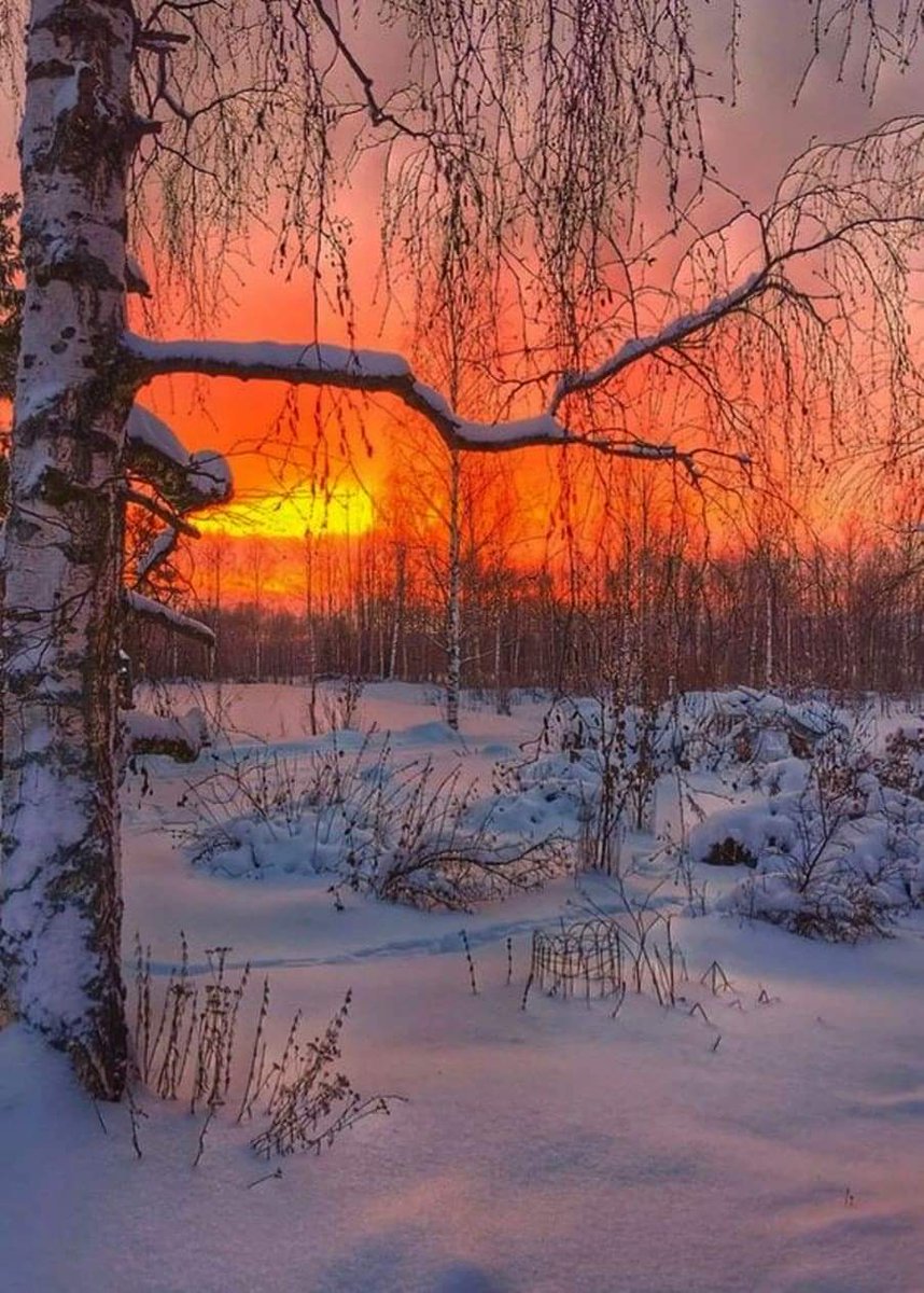 TLeoni311's tweet image. Good evening 💫