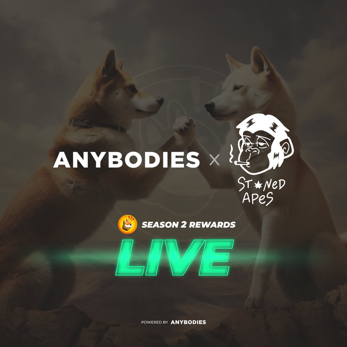 AnybodiesNFT's tweet image. Looks like @StonedApeCrew is vibing today…

$BONK rewards are now LIVE for SAC and NAC holders⚡

anybodies.com/c/sac