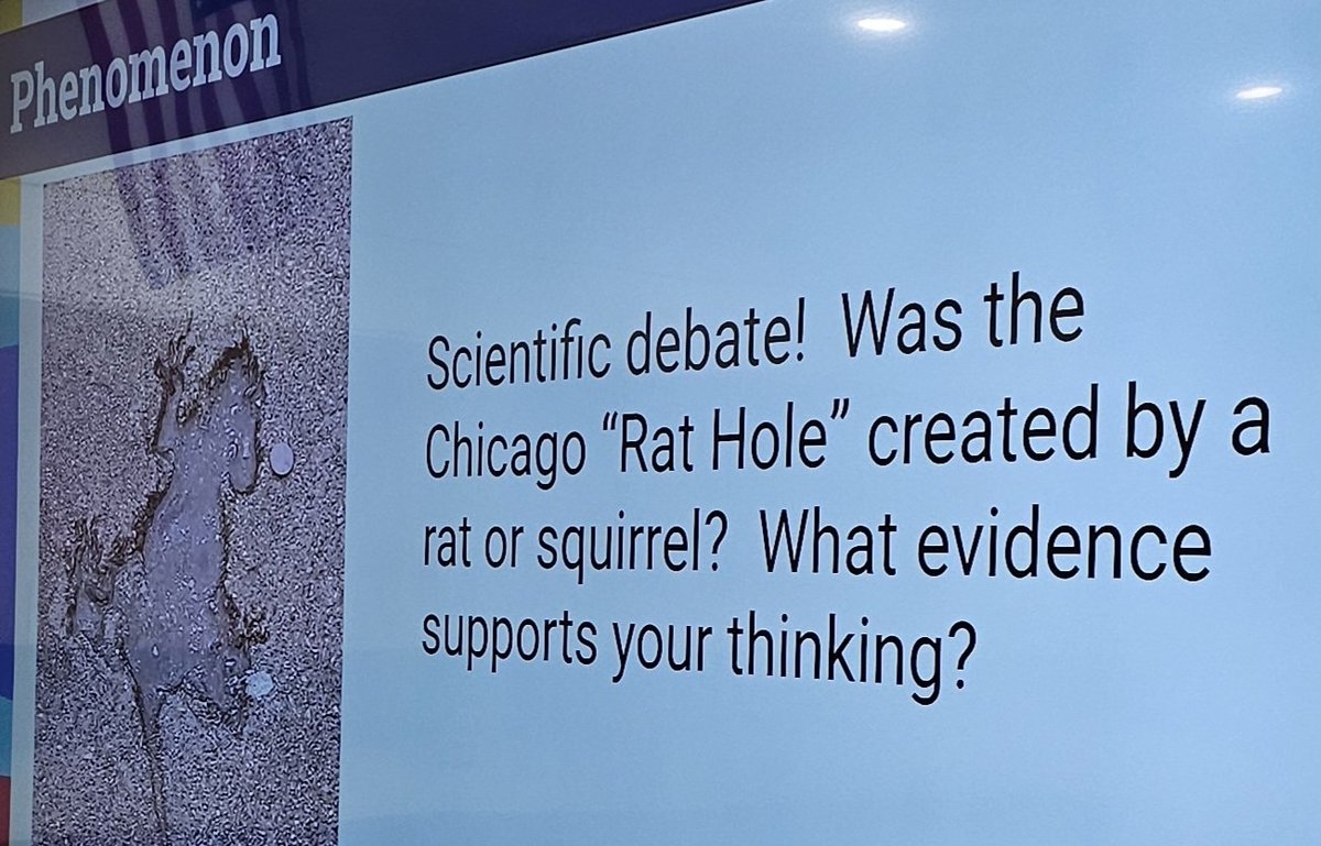 mrschaffin_edu's tweet photo. Our T1 strategy of the day was on academic conversations, so of course started with a scientific debate about the Chicago Rat Hole! #academicconversation #sciencetalk #phenomena https://t.co/qC5C3QYltY