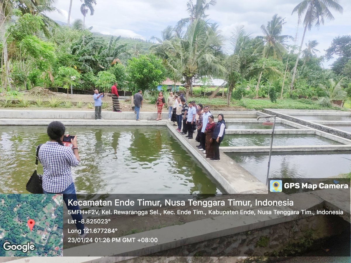 riatnichen's tweet photo. Senin (23/01/2024) Riatni A.H. Husen, Luhkan Kab. Ende, menghadiri kegiatan kunjungan kerjasama antara Setda Kab. Sikka dan Pemkab Ende di Pokdakan Jama Ika, Kel. Rewarangga Selatan, Kec. Ende Timur
#GiatLuhkanSatminkalGONDOL #Ende 
@bppsdm_gondol @bppsdm_kp @puslatluhkp https://t.co/maqNfr9OBK