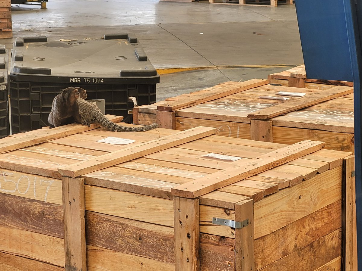 O dia hoje teve direito a visita ilustre