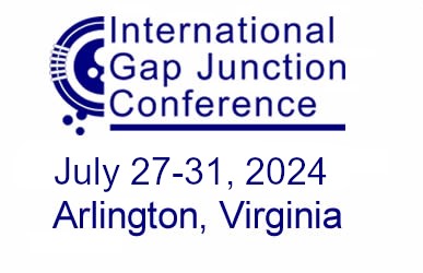 igjc2024's tweet photo. Registration is open for the next International Gap Junction Conference in the Washington DC Metro Area, USA. July 27-31, 2024. IGJC 2024 website: https://t.co/qjHUDsqTom Abstract deadline for oral presentations is May 1st. Register first to get a link for abstract submission https://t.co/GYJbu6b7IO