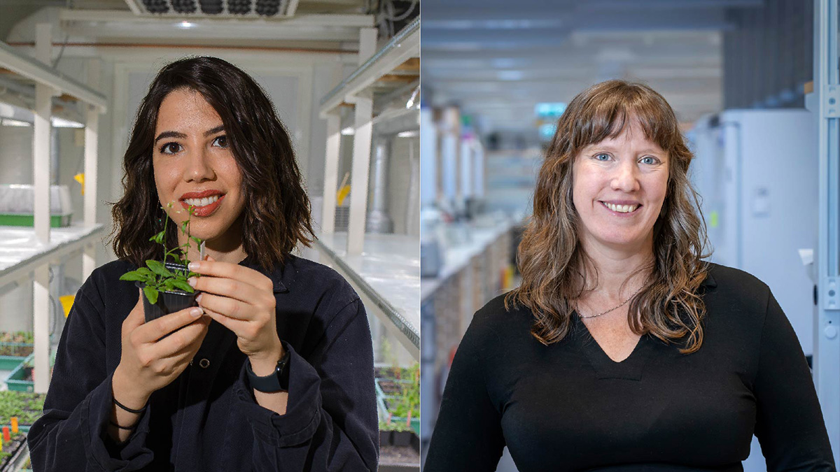 👩‍🔬The wish to understand motivated our group leaders @LauraBacete and Kelly Swarts @dendrogenomics to become scientists 🥼.

On today's #WomenAndGirlsInScience Day, they are sharing their experiences:

upsc.se/about-upsc/new…

#February11 #WomenInScience @umeauniversity @_SLU