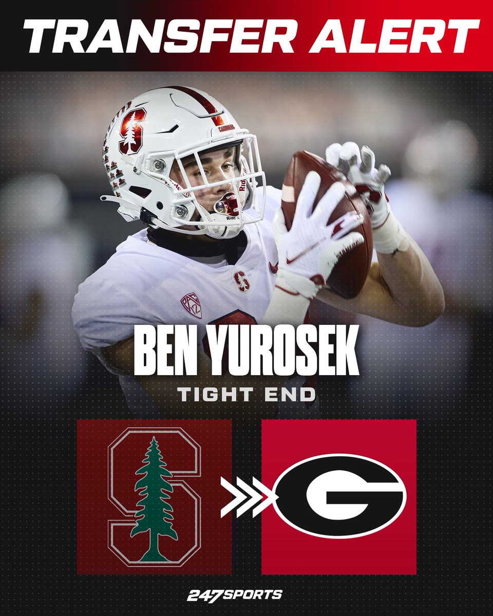 247Sports's tweet photo. Stanford TE transfer Ben Yurosek has committed to Georgia. 🐶

MORE: https://t.co/SFBYJf0ek8 https://t.co/OQIEfPpbKO