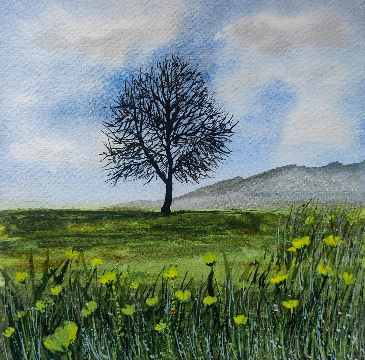 IrtiqaBulaki tweet media