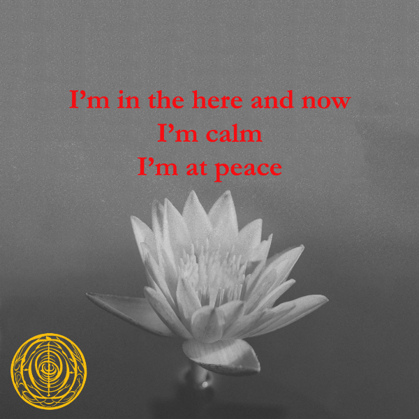 ImcVeronica's tweet photo. Un mantra è una parola o una frase che viene ripetuta durante la meditazione. Aiuta a concentrare la mente e a promuovere la consapevolezza interiore.

Prima durante e dopo Sanremo

#Sanremo2024 #FestivaldiSanremo2024 #festivaldellamusicaitaliana #meditazione https://t.co/lODuuHhFD1