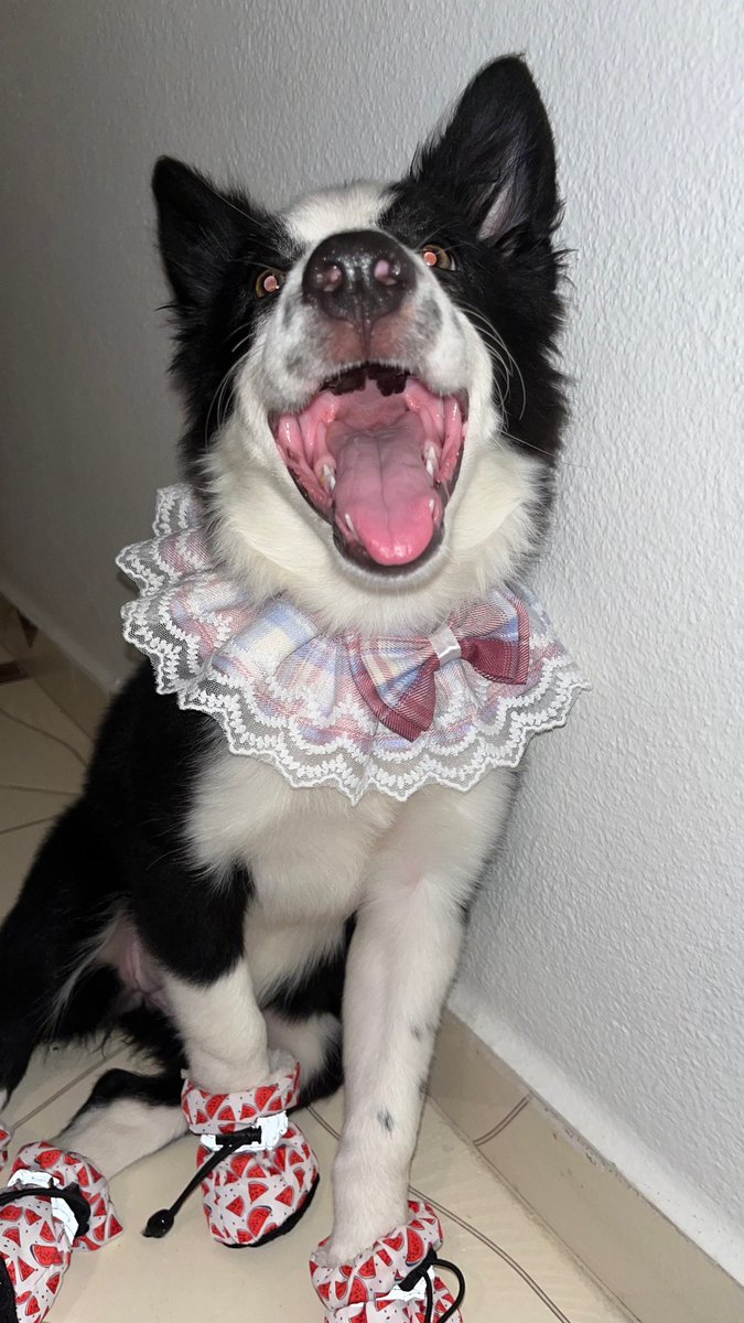 Oi aumigos estou participando de um concurso clique aqui e vote n-8 💗✨
instagram.com/stories/ciadat…