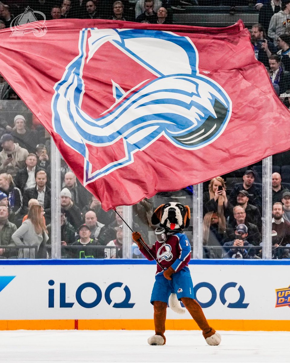 Avalanche's tweet photo. Happy birthday to everyone’s favorite dog! 

#GoAvsGo https://t.co/BHkFj8CYkB