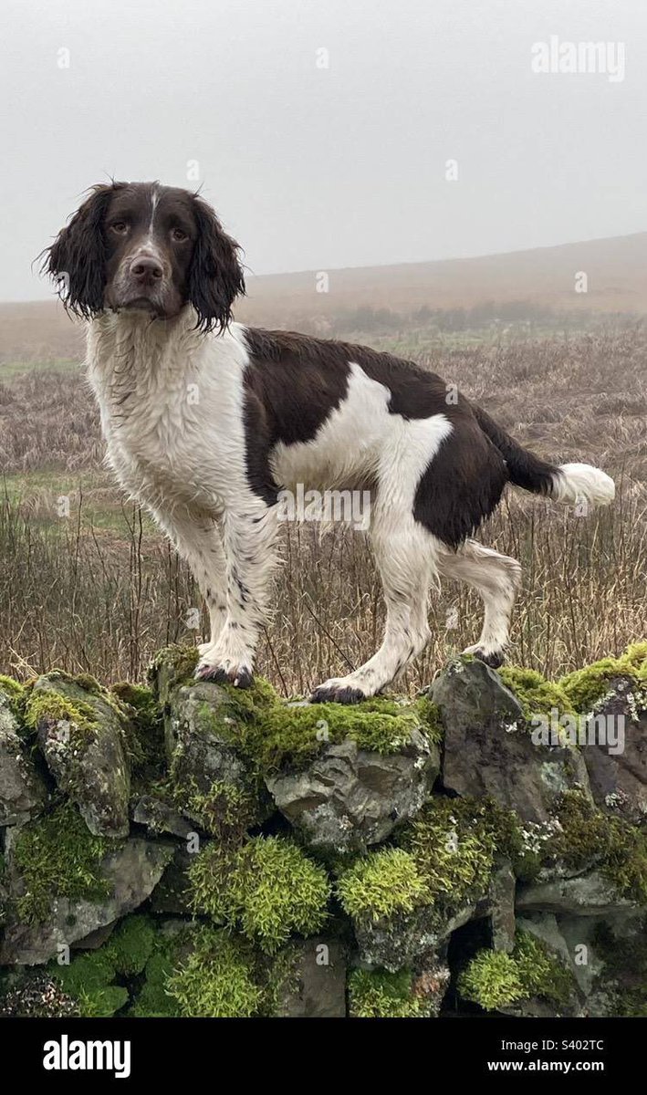 FreezeValerie's tweet image. Saw this @Stockimo photo and had to share #loveit #photography #Stockimo alamy.com/stock-photos/S…