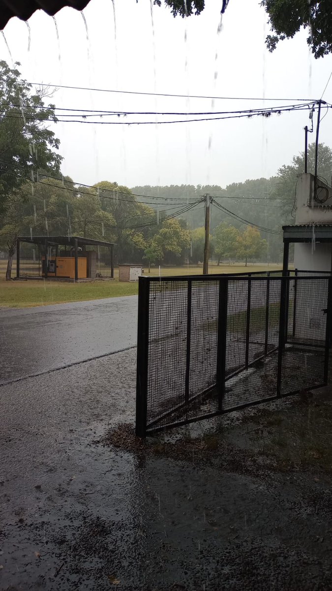 NI LAS LLUVIA NOS PARA 💪🌦️💪
Estamos contentos por la lluvia pero más porque tenemos 🍿en la oficina 😍. 
Ailén está midiendo volumen de expansión y % de explosión 📏 de grano en diferentes genotipos de maíz pisingallo  como parte de su tesis de maestría en <a href="/agrariasunr/">Agrarias UNR</a>