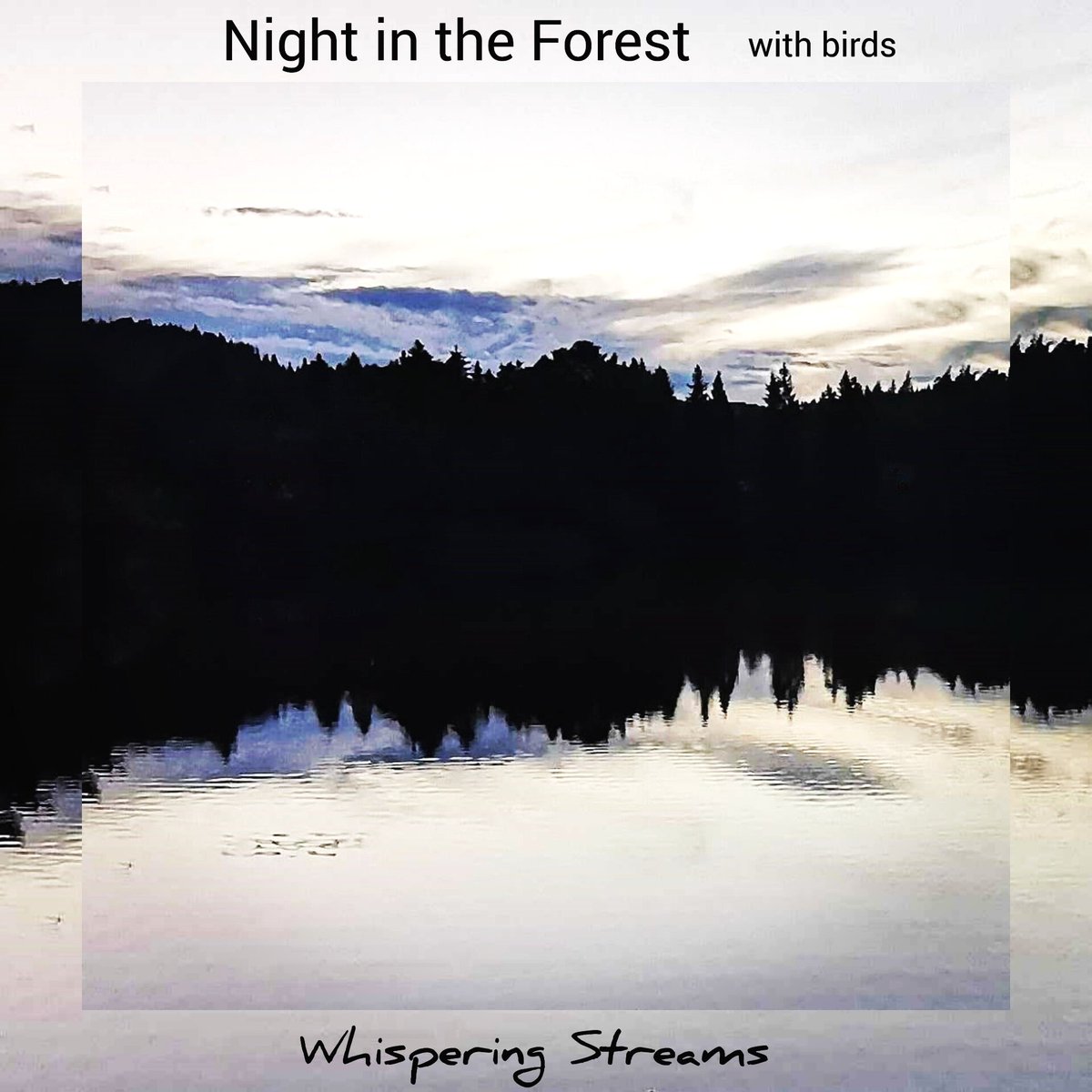 Coming next friday! Night in the Forest with birds 🎵 #pianoandbirds #neoclassical #nature #naturesounds #whisperingstreams #lisejonsson #originalmusic #composer #pianist