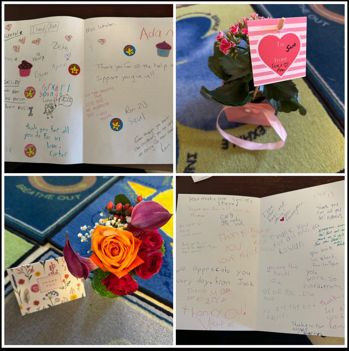 Samantha Wild Whalen tweet media