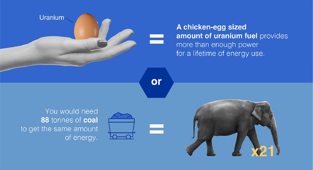 Did you know? An egg-sized amount of uranium could power your entire lifetime. 🥚⚛️ Compare that to coal, which would need a whopping 21 elephants worth to keep the lights on. #Nuclear is smart choice for a clean, efficient #energy future. 🐘 🔗iaea.org/newscenter/new… @IAEA