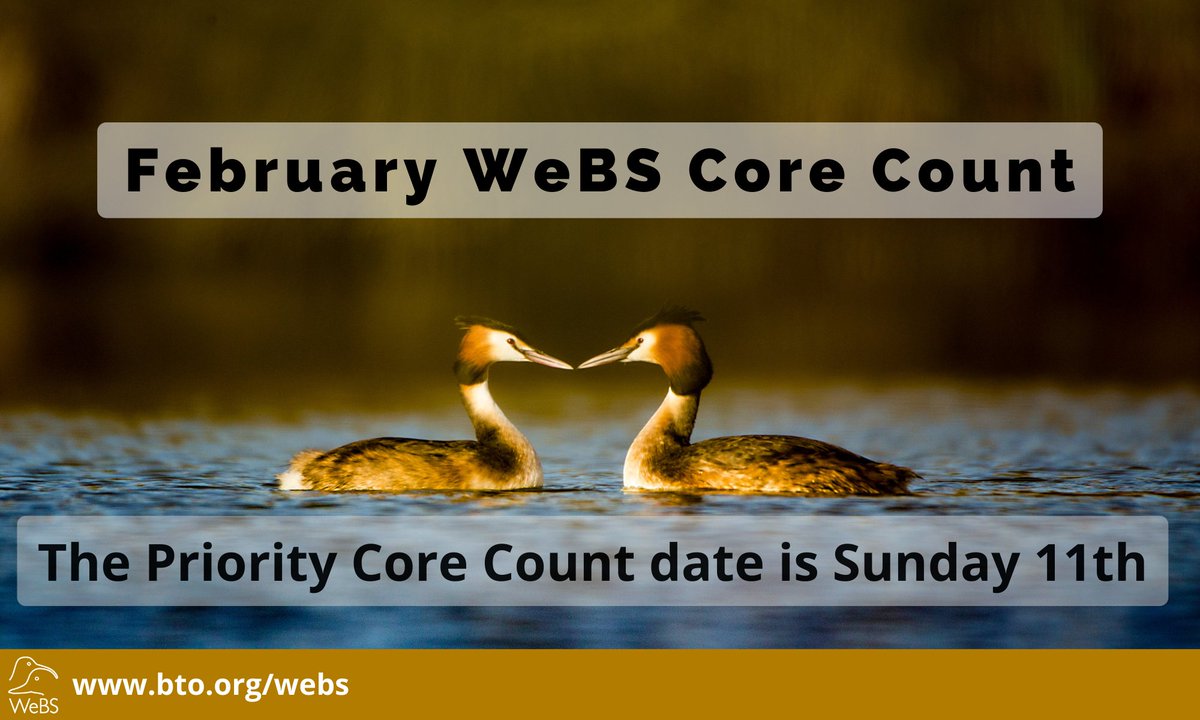 This Sunday, 11th, is the February WeBS Core Count weekend! Let's show some love for our favourite waterbirds! ❤️ @_BTO @JNCC_UK @RSPBScience