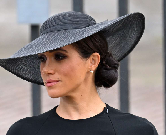 VABVOX's tweet photo. I can't believe I have to say this, but Meghan Markle didn't kill Queen Elizabeth or Prince Philip, nor did she give King Charles cancer nor make Princess Kate disappear. Meghan may be the reason "Suits" is trending on Netflix,though. Just stop drinking from that racism trough. https://t.co/kiZBcIsxri