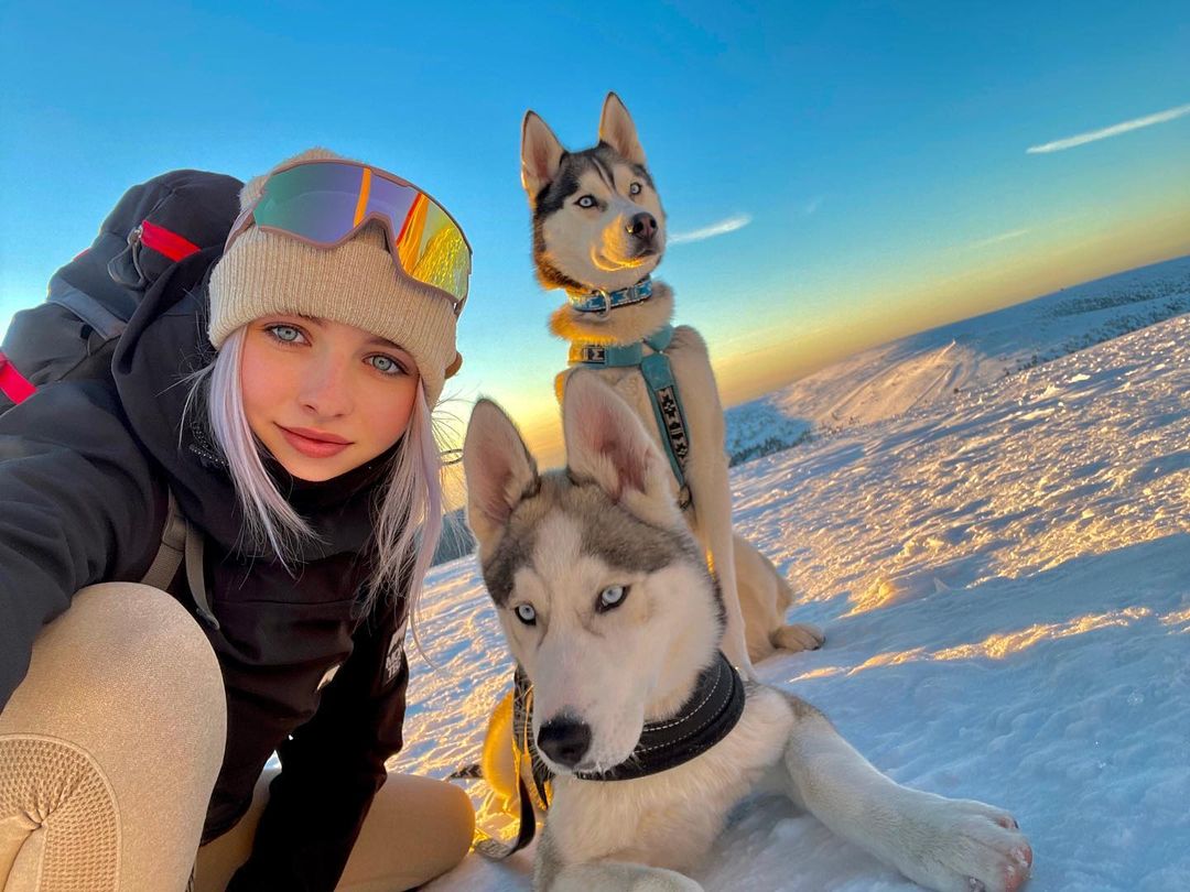 Husky Heartland tweet media