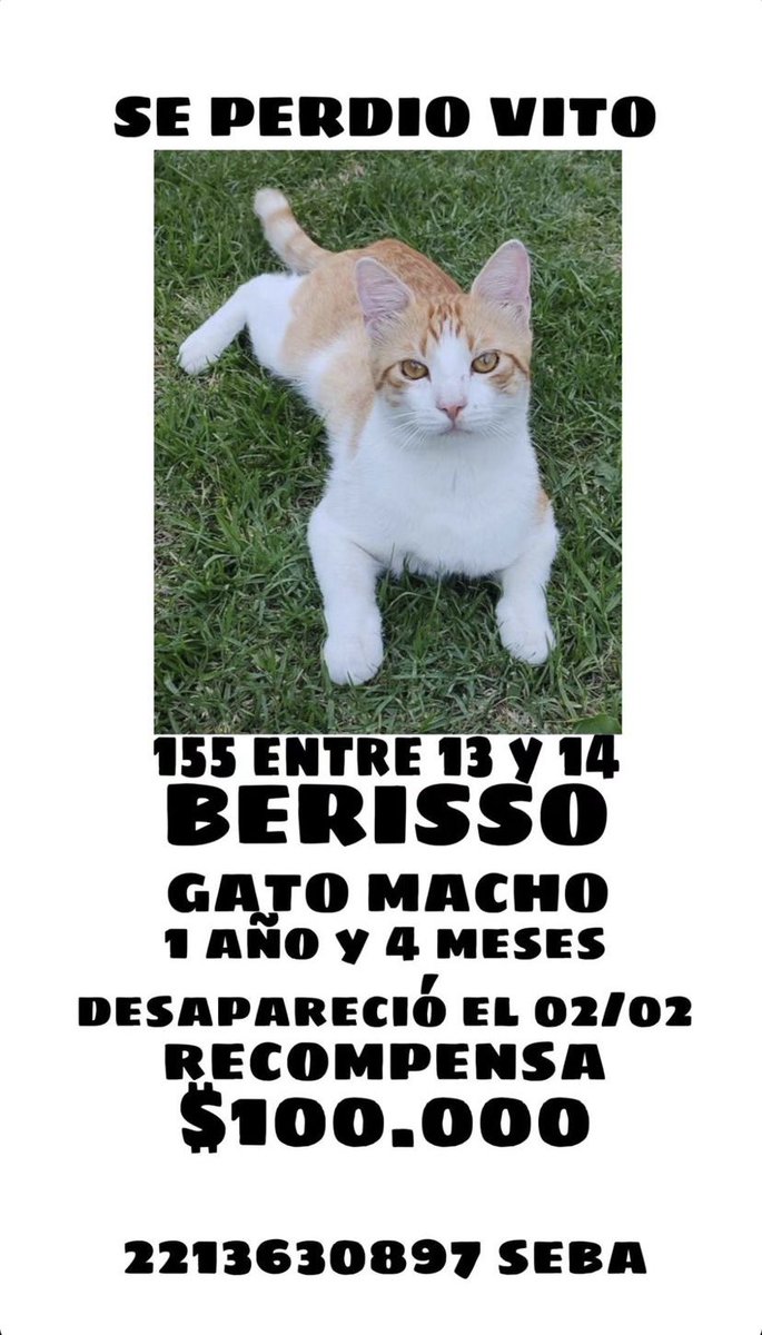 #BERISSO 🔔 Difundir