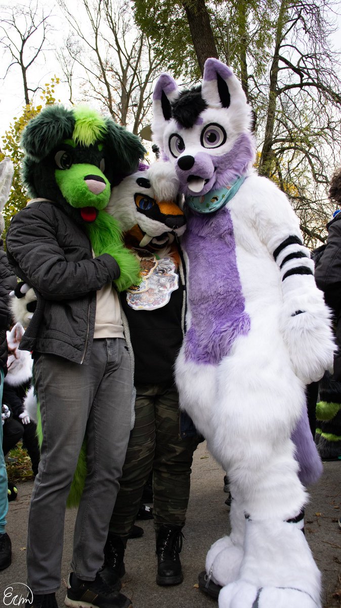 kess_is's tweet photo. Two little cuties ><

Happy #FursuitFriday 💞🐯
📸 @ermen299
🐺💚@simhyn123 💞
🐺🤍@Zivethefurry 
✂️🐯 _nellis_______ (ig)
✂️🐾 calvins_star_studio(ig) https://t.co/P3BuA8tPHq