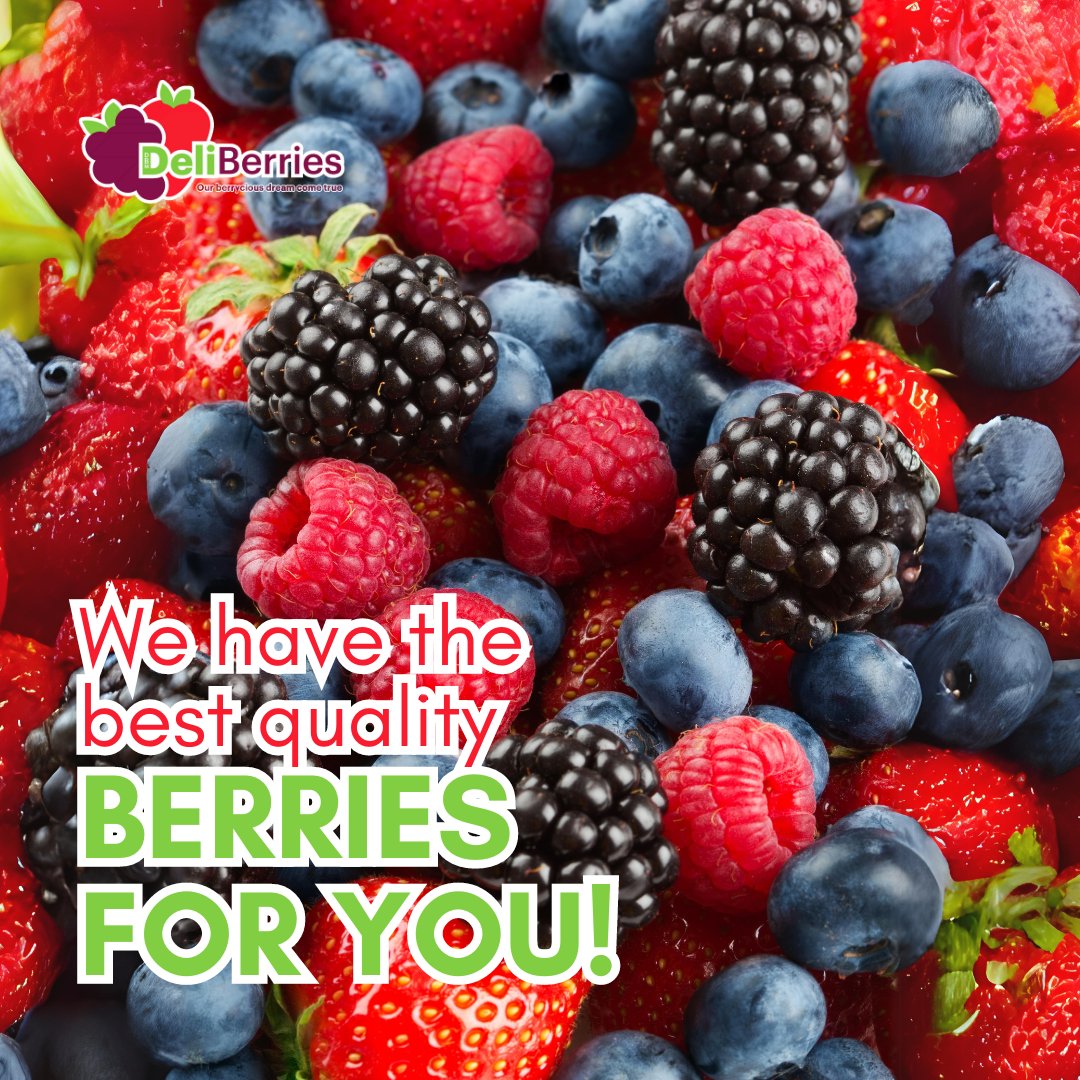 deliberriesMx's tweet photo. 🌱🍓 From the fields in Jalisco and Michoacán to cool installations, we ensure our berries maintain their freshness on their journey to your plate 🚛🍽️

🩷Do you want more information? Call Us
📲 3328188590

 #Berries #FarmToPlate #QualityGuaranteed https://t.co/PVbh2XBbXO