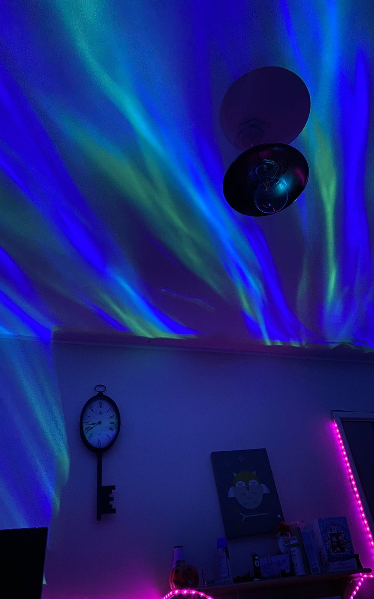 Niecy O'Keeffe tweet media