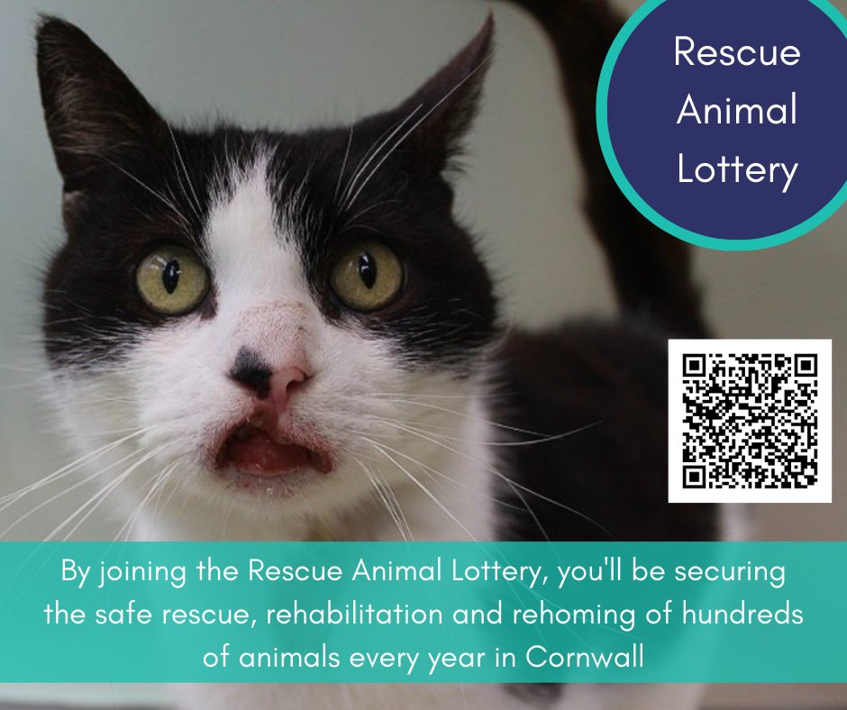 The Rescue Animal Lottery is funding our vital animal welfare work in Cornwall, and the more people that take part, the more animals we can help 💙 #rescueanimallottery Sign up here: form.jotform.com/221994356332359
