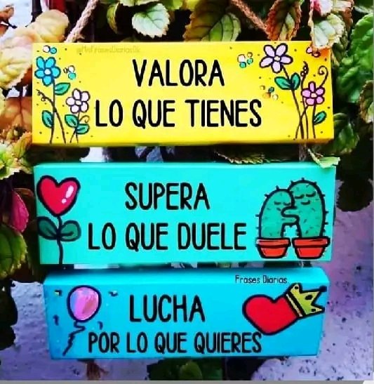 #BuenosDiasATodos 
#BuenasVibras
#CubaEsAmor